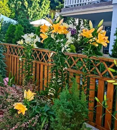 בית אירוח Roza Wiatrow *