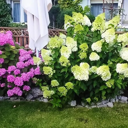 Roza Wiatrow Rum i privatbostad *